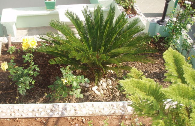 Villa Softic - Photo 65