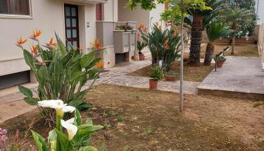 Le Strelizie - Photo 3, Garden