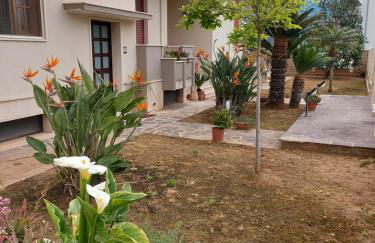 Le Strelizie - Foto 3