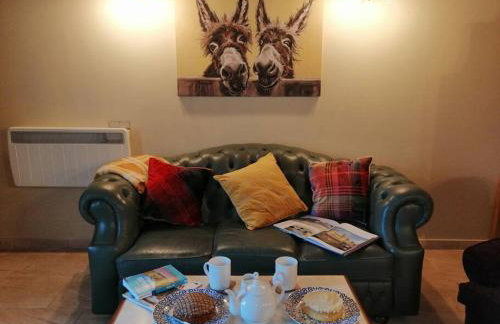 Lovely Stone Village cottage in Snowdonia - Foto 5