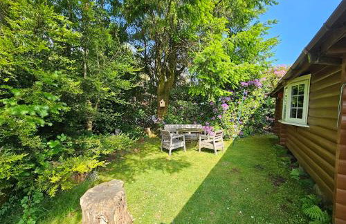 Bryn Cnocell - Foto 14