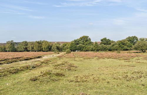 The Cottage At Dockens Water - Foto 25