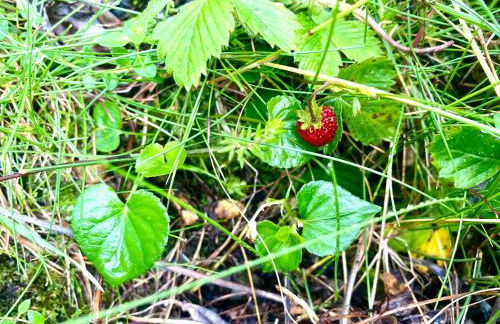 loft de la place - Foto 19