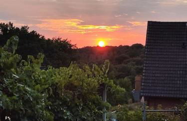 Nikis FeWo an den Dörenther Klippen - Foto 44