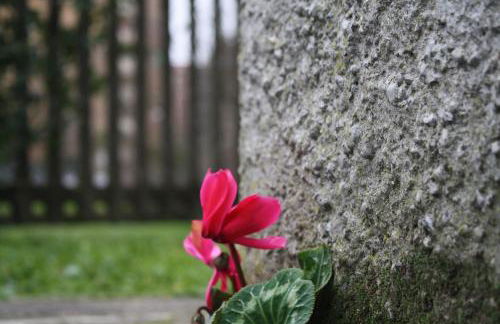 White flat Puglie - Photo 62