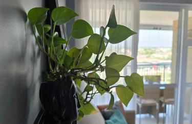 2 qrts c suíte, ar condicionado, piscina infantil e adulto, parquinho, estacionamento privativo, portaria 24hrs, self checkin, indicado pra família c crianças, casais e hóspedes a trabalho - Foto 21