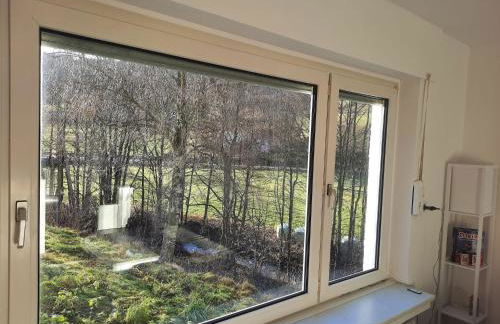 FeWo An der Elpe zwischen Winterberg und Fort Fun - Foto 11