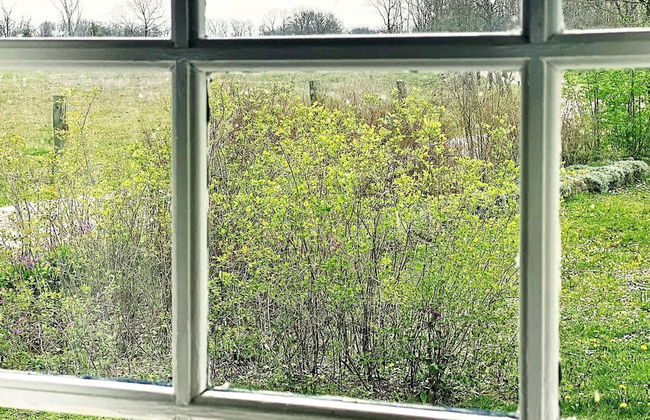 Nostalgic Island Idyll in Aaeu\"land-by Traum - Foto 14