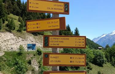 auris en oisans, vue sur le massif des ecrins - Foto 18