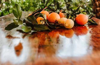 La Carrasca - Naranja - Foto 31