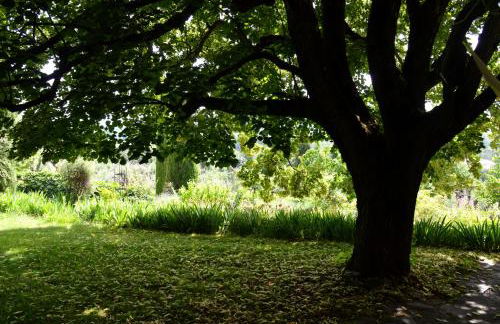 domaine des tilleuls d'or - Foto 12