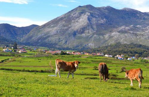 La Casina de Orfeo Cuenco Cangas de Onís VV-1901-A - Foto 48