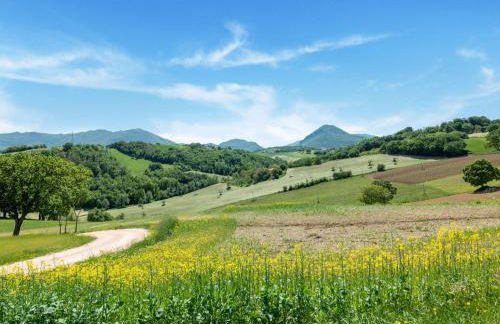 Country Escape in Matelica - Foto 62