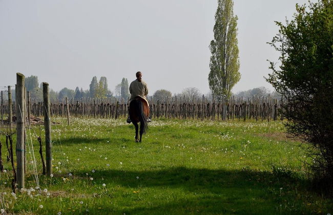 Società Agricola La Staccionata - Foto 24