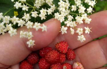 Ferienwohnungen in Losheim am See - Foto 29