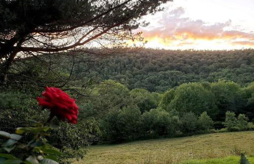 Breathtaking views. Hot tub. Huge Deck. Fast Wifi - Foto 38