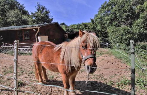 Stunning Home In Saignon - Foto 22