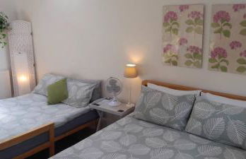 Rosehips at Kerensa, Naburn - Foto 7