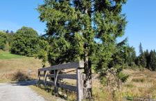 Anna Altreichenau - Foto 46