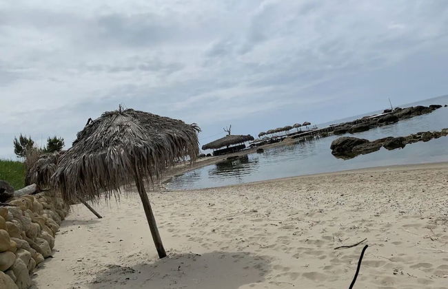 Entire unit near beach access to garden - Photo 15