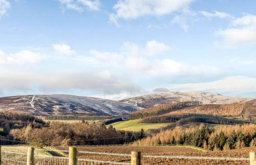 2 Bed in Kirriemuir 80719 - Foto 20