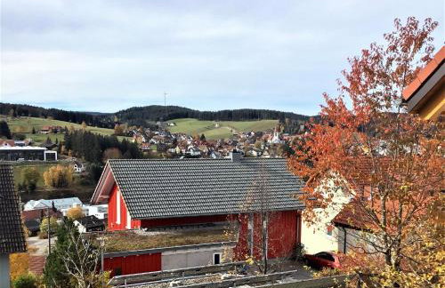 Alexander Feiss - Foto 13