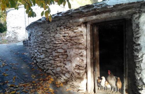 Casa Margarita - Photo 20