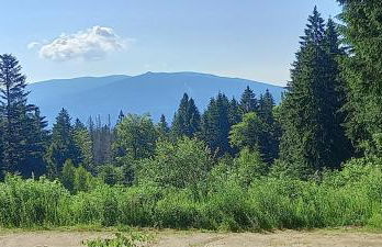 Bayerwaldtiny - Foto 35