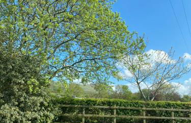 Benbradagh Country Cottage Causeway Coast - Foto 34