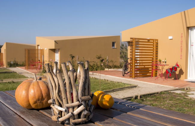 Entre Vinhas & Mar - Foto 61