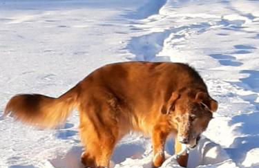 Charlys Bleibe Gastunterkunft inmitten der Natur - Foto 26