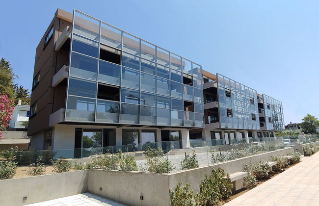 3 Olive Trees - Foto 1