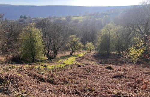 Apartment 3 The Baileys Cwm - Foto 28