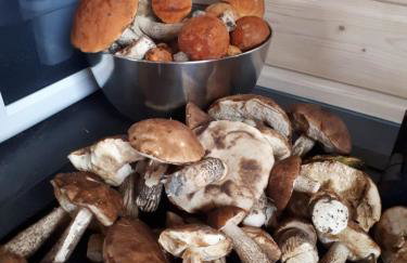 Cicha przystań domek na Kaszubach - Foto 37