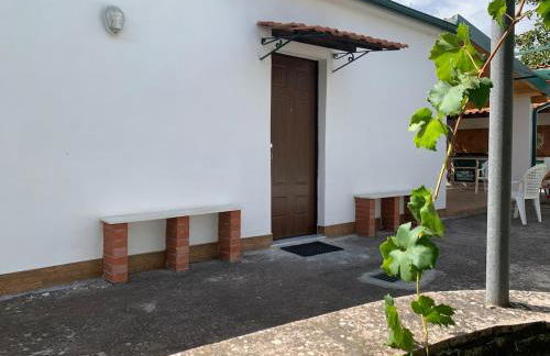 Casa dei Gigli relax and vacation among flowers and fruits - Foto 1