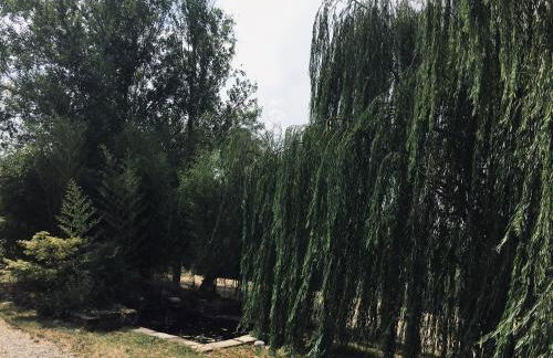 Il Biancospino - Foto 16