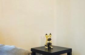 AK Homes, a due passi da Orio - Foto 38