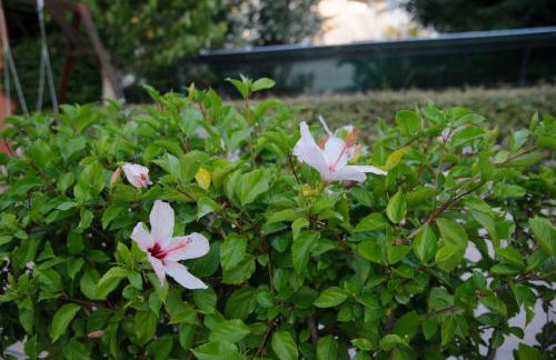 Aithrio Hotel - Foto 6