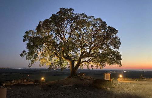 Masia de Queralt Luxury Casa Rural Spa y Vistas - Foto 146