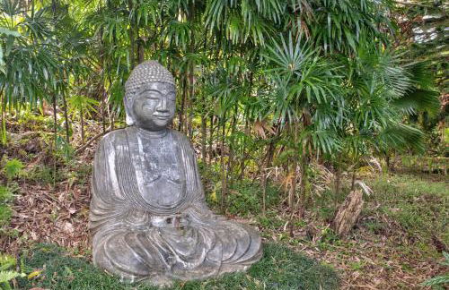 Hamakua Pukana La Hale 3 Bedroom Home by RedAwning - Foto 57