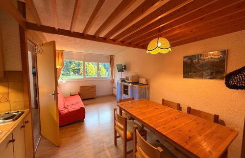 Appartement au pied des pistes à Villard-de-Lans - FR-1-515-29 - Foto 1