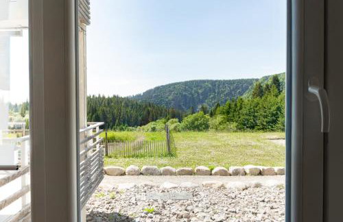 bel appartement 3 pièces dans la Résidence Vosges-Alsace Orbey - Foto 42