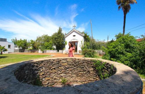 Quinta da Aldeia de Avanca - Foto 25