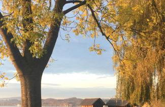 Seehaus Aachblick, Exklusive Appartements und Ferienwohnungen - Foto 23