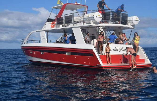 Los Cristianos Whale + Dolphin Watching Boat Tour - Photo 13