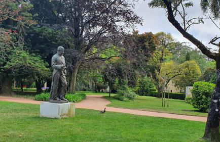 Caldas da Rainha's Green & White - Foto 31