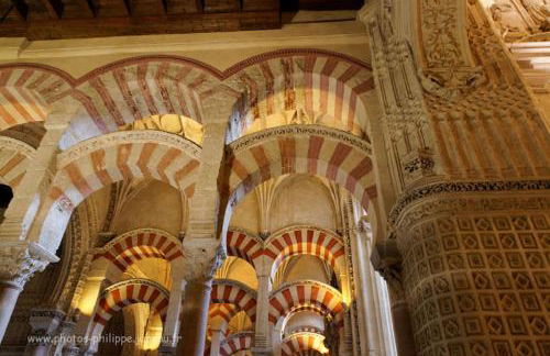 Casilla Dalea en Carcabuey, descubre el interior de Andalucia - Foto 32