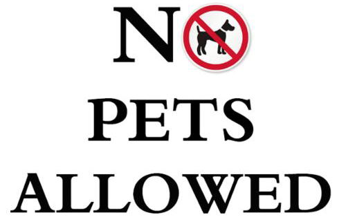 Hillingworth's Hot Tub Retreat - Lochmaben - Photo 24