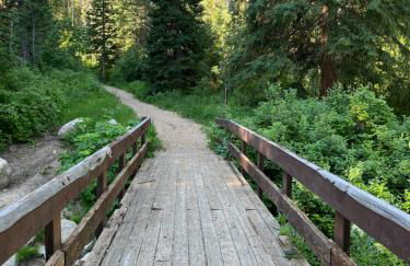 The Jailer's Cottage * Entire Home * Sleeps 12 - Foto 46