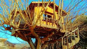 Το Πέτρινο Σπιτάκι - Foto 3